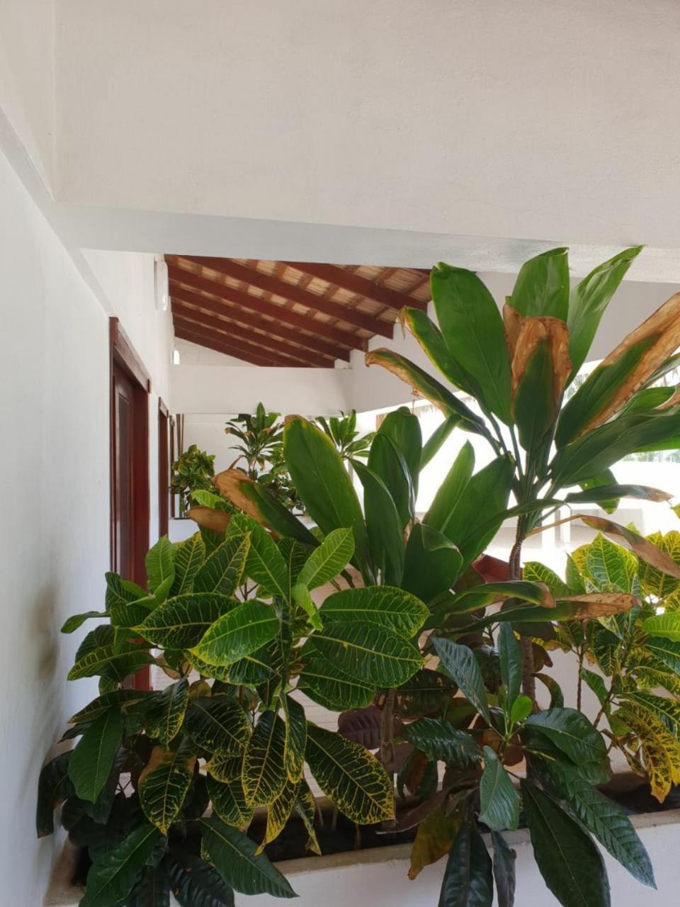 Oasi Encantada - Beach Resort Barahona ภายนอก รูปภาพ