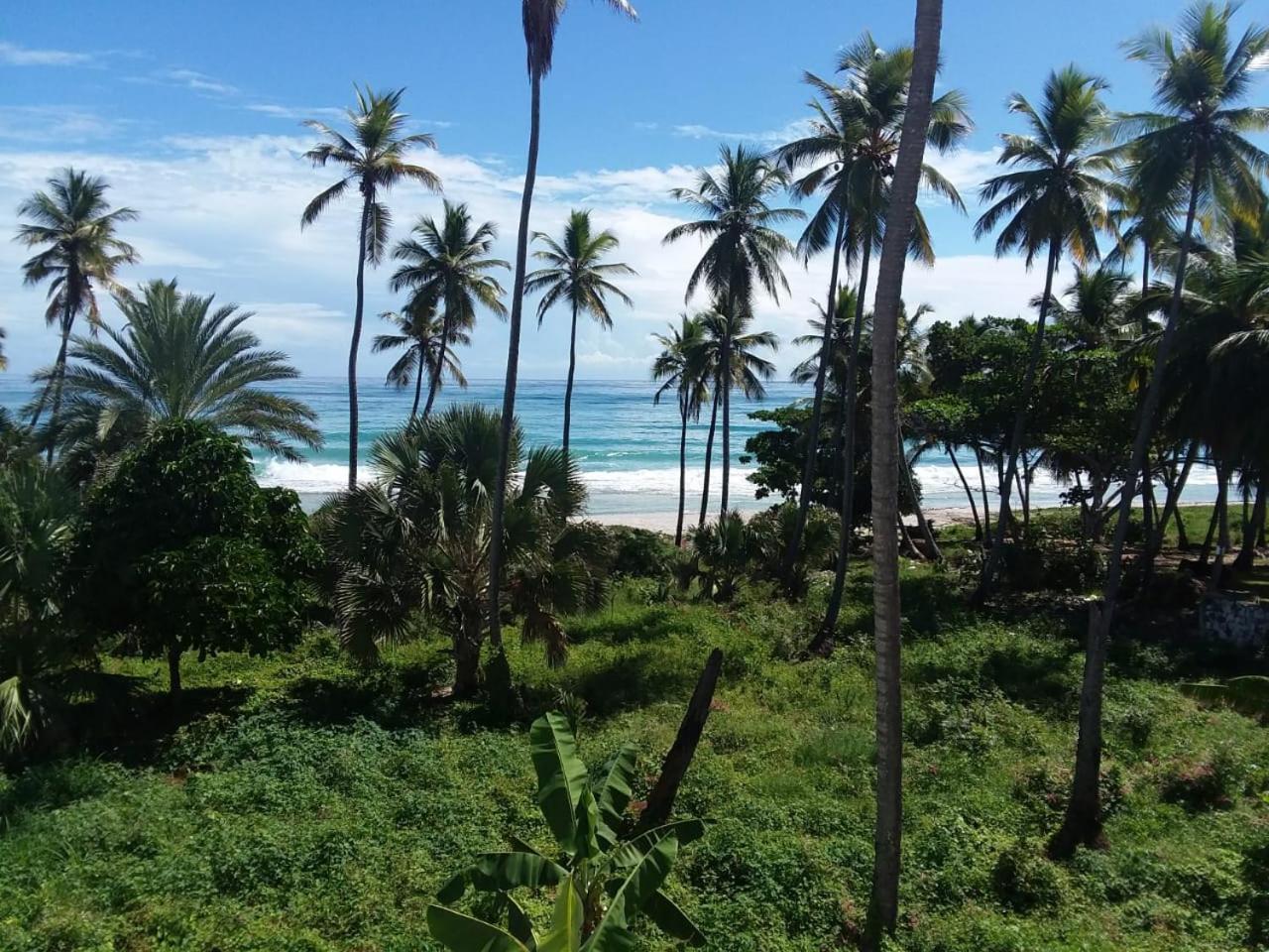 Oasi Encantada - Beach Resort Barahona ภายนอก รูปภาพ